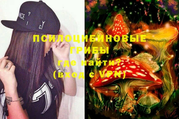 индика Алексеевка
