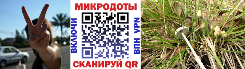 Псилоцибиновые грибы мухоморы где найти наркотики OMG как зайти Клинцы